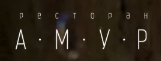 Логотип Амур