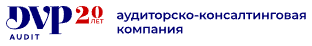 Логотип DVP Audit