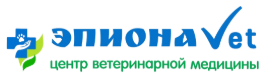 Логотип Эпиона