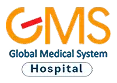 Логотип GMS Hospital