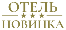 Логотип Новинка