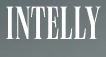 Логотип Intelly