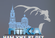 Логотип Pokka59