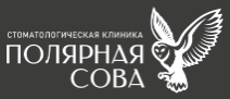Логотип Полярная Сова
