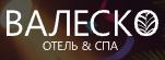 Логотип Валеско