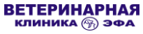 Логотип Эфа