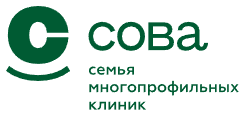Логотип Сова