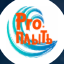 Логотип Про.Плыть