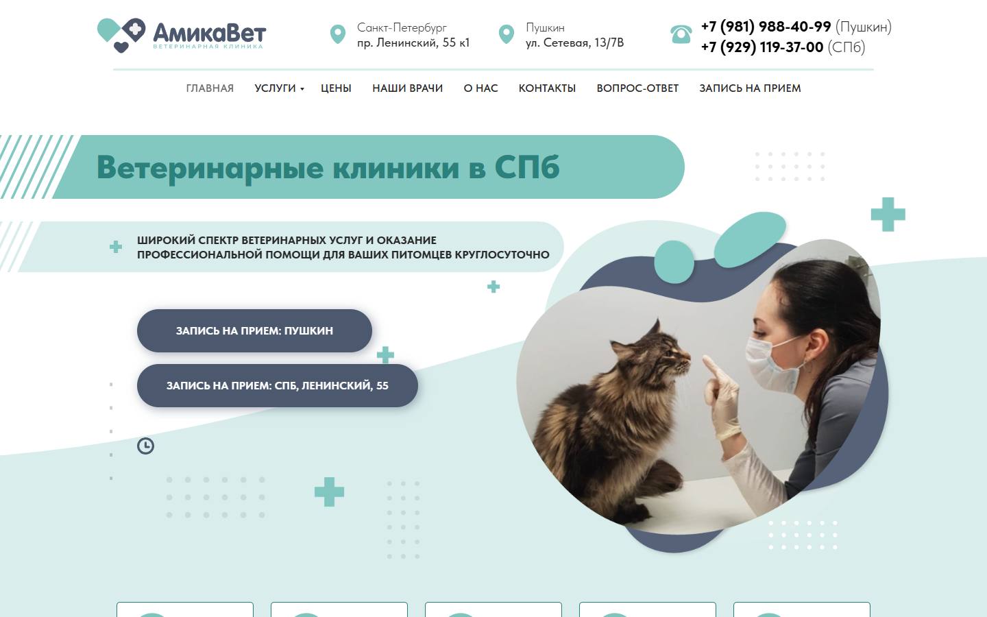 Главная страница сайта АмикаВет (amikavet.ru)