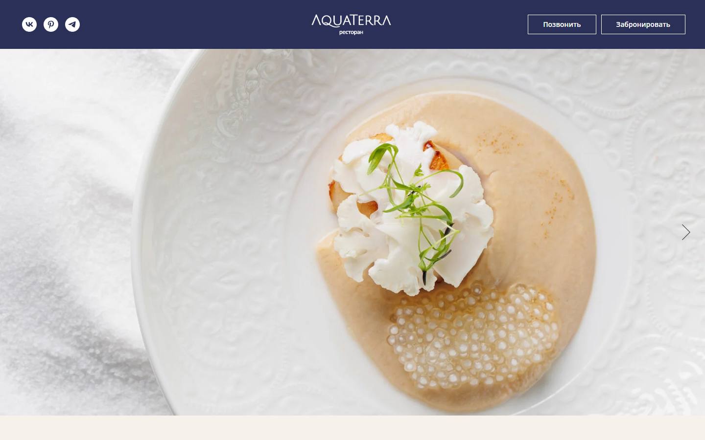 Главная страница сайта AquaTerra (aquaterra-vl.ru)