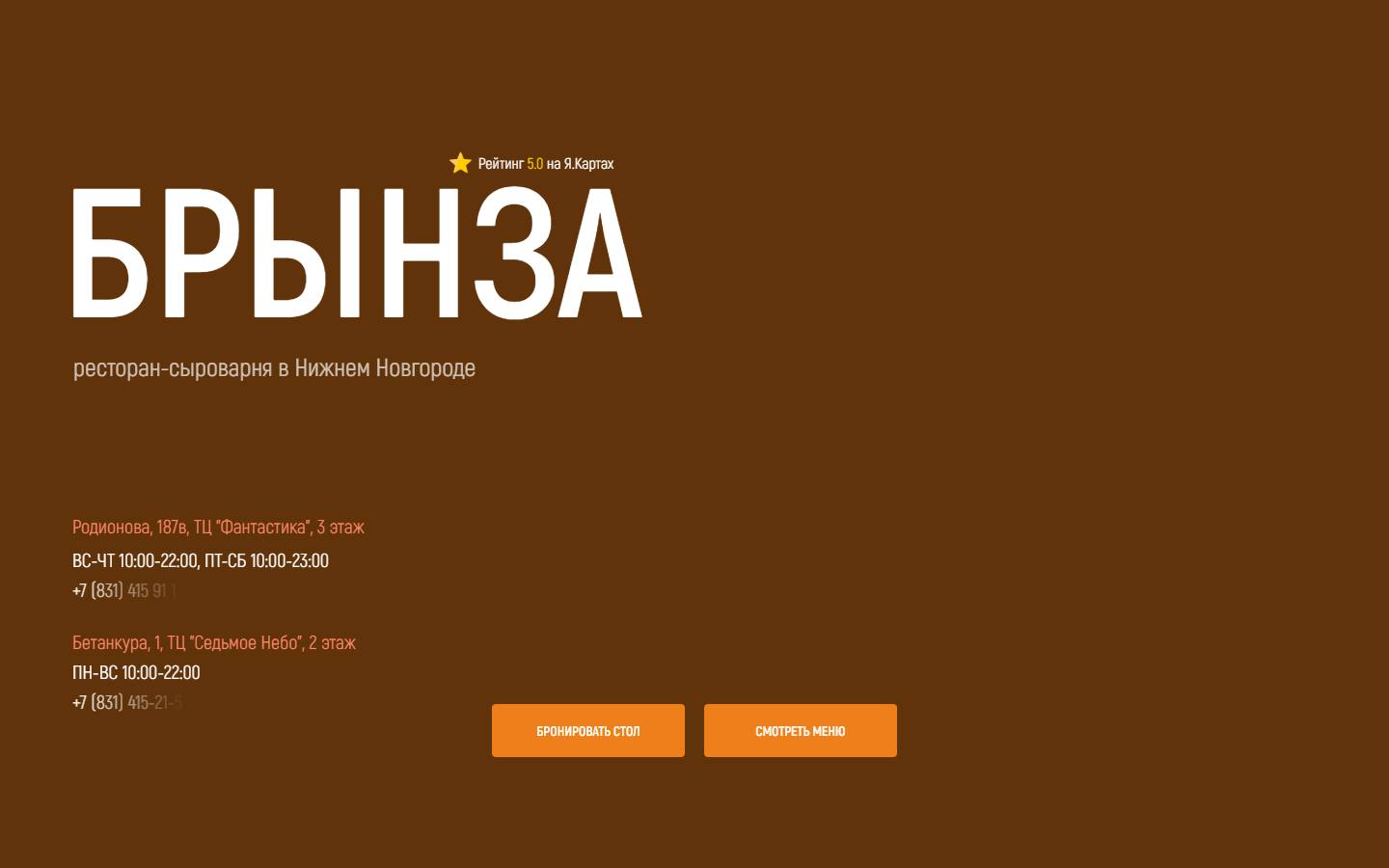 Главная страница сайта Брынза (brynzarest.ru)