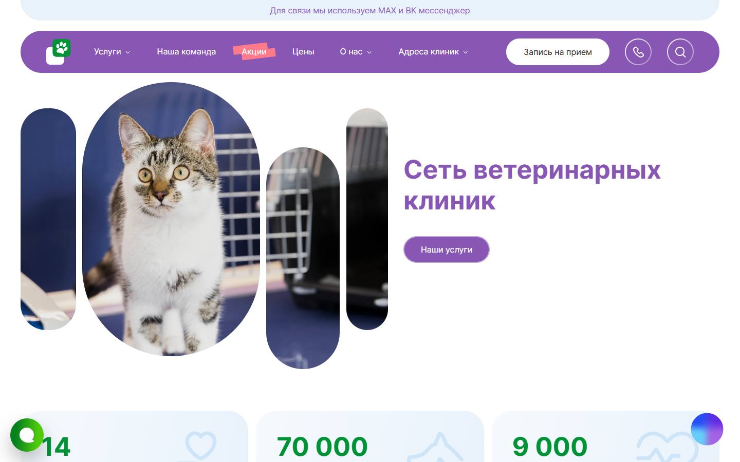 Главная страница сайта CatVetDog (catvetdog.ru)