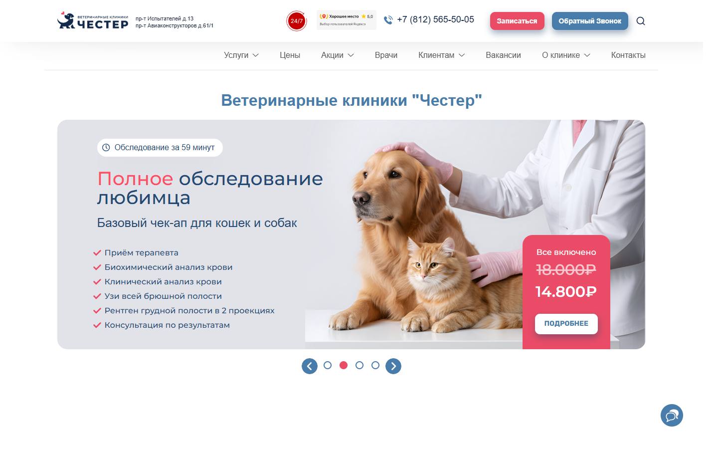Главная страница сайта Честер (chester-vet.ru)