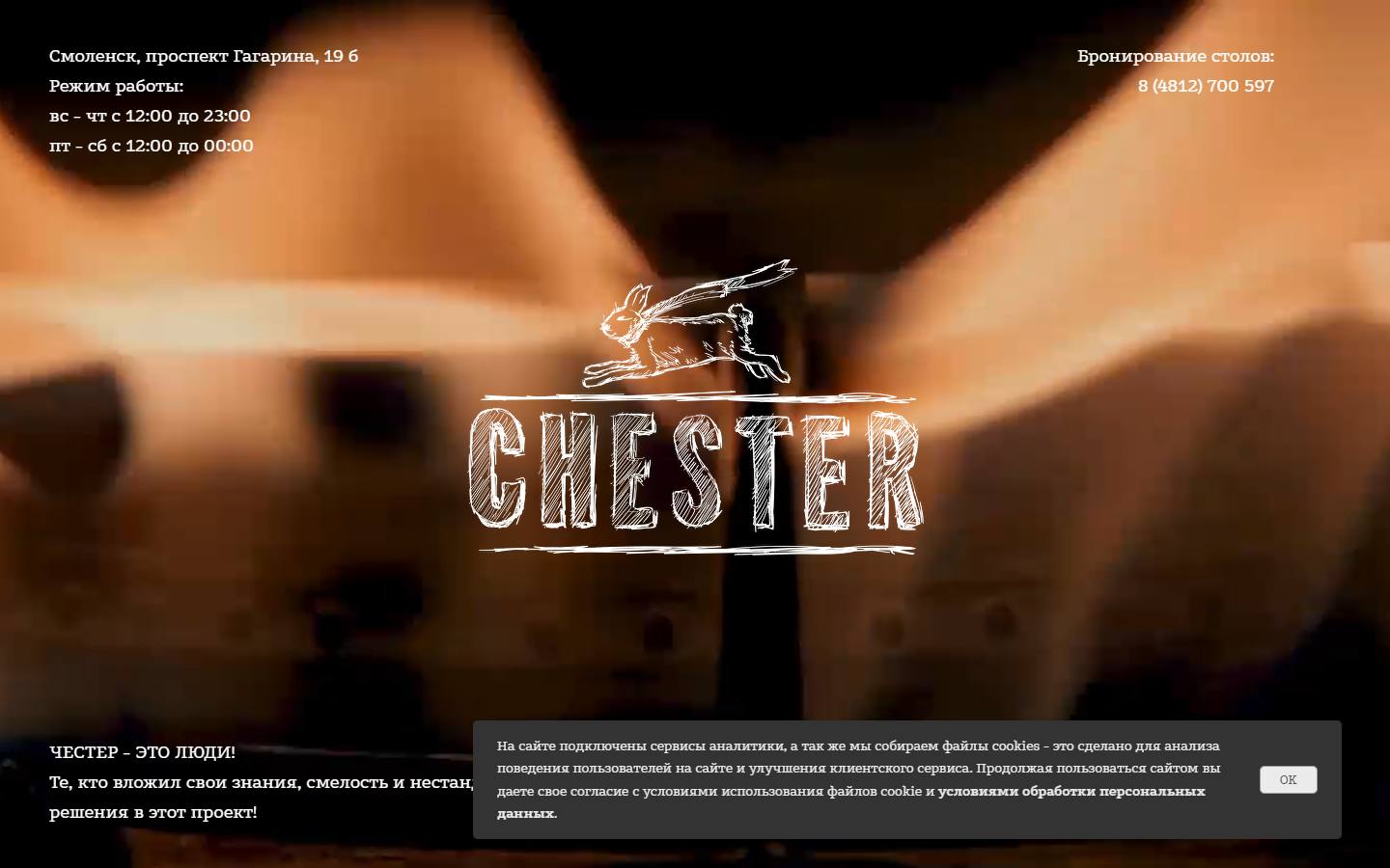 Главная страница сайта Честер (chester67.ru)