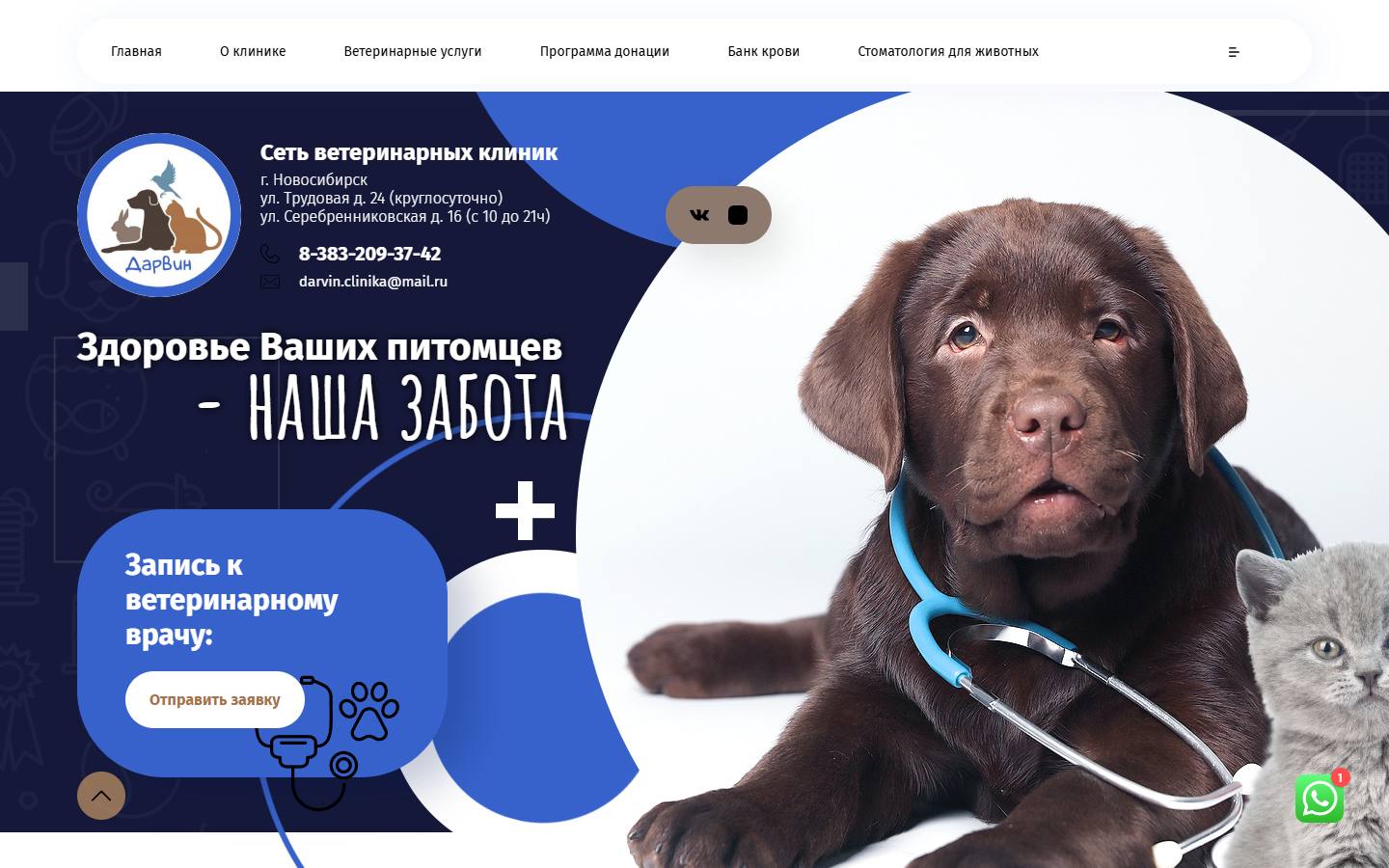 Главная страница сайта Дарвин (darvin54.ru)