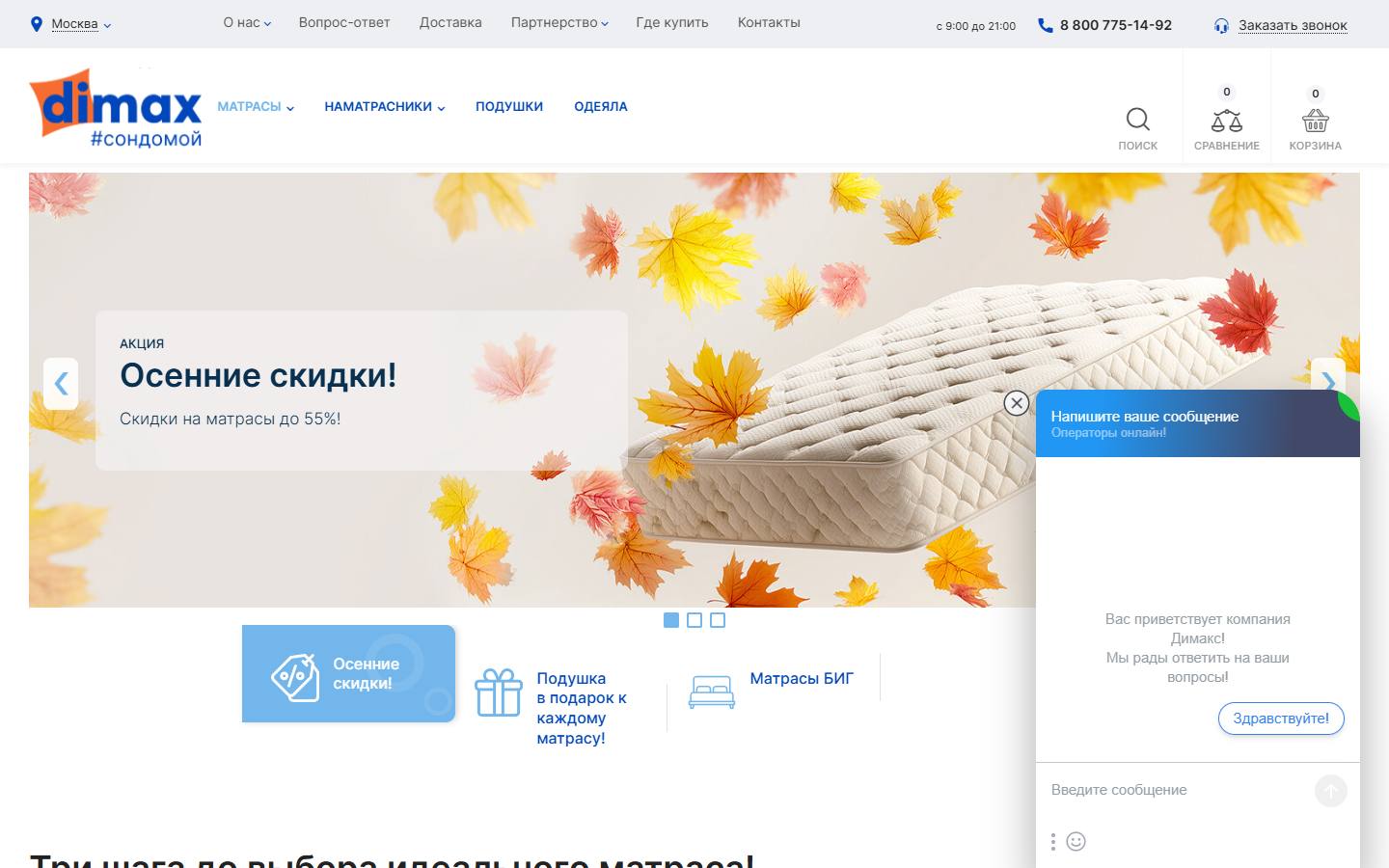 Главная страница сайта Димакс (dimax.ru)