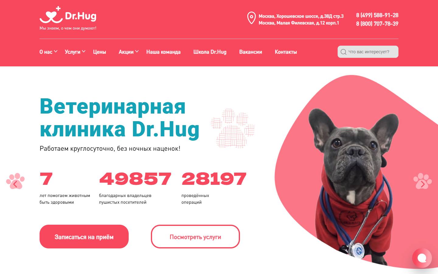 Главная страница сайта Dr. Hug (dr-hug.vet)
