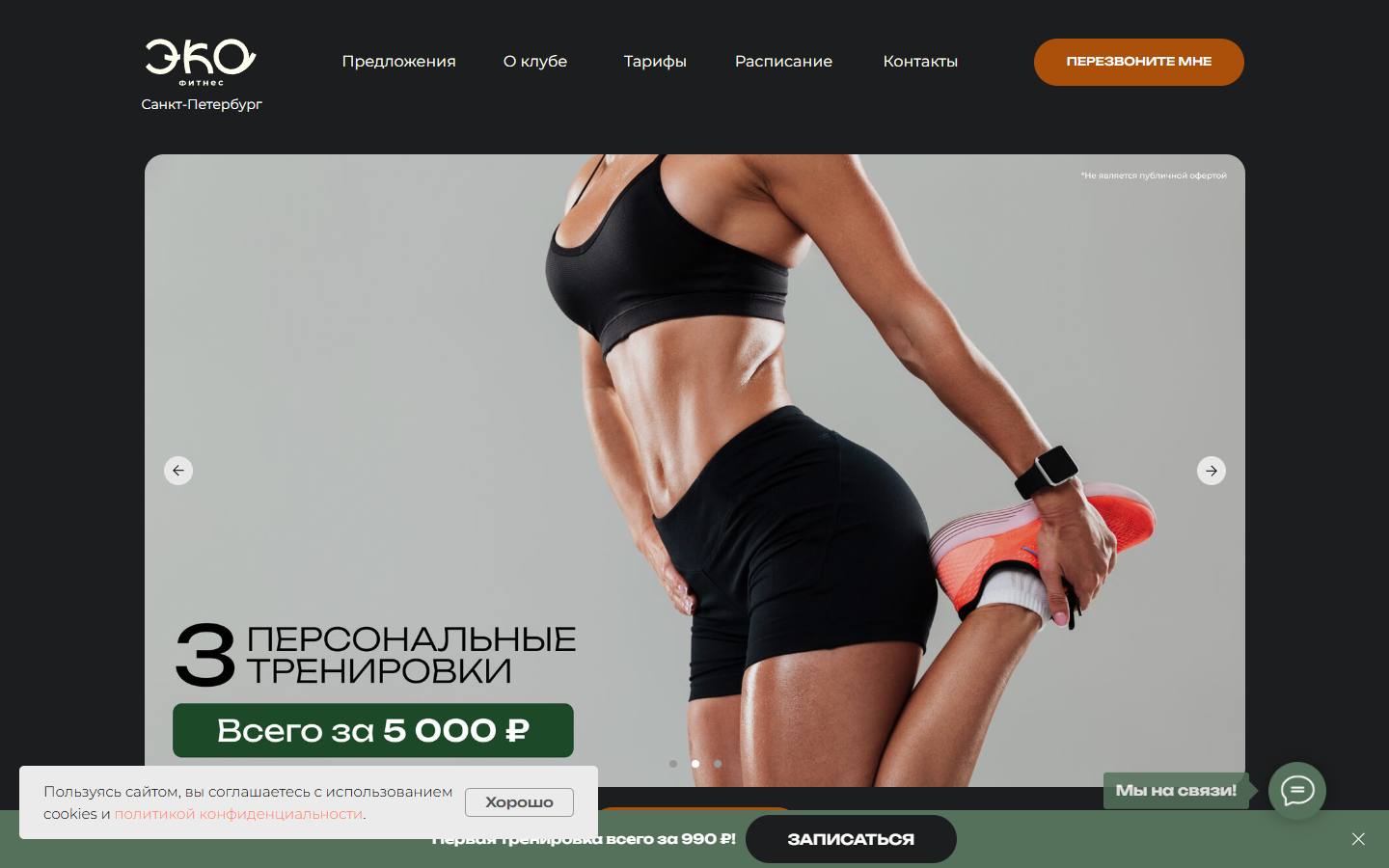 Главная страница сайта Экофитнес (ecofitness.ru)
