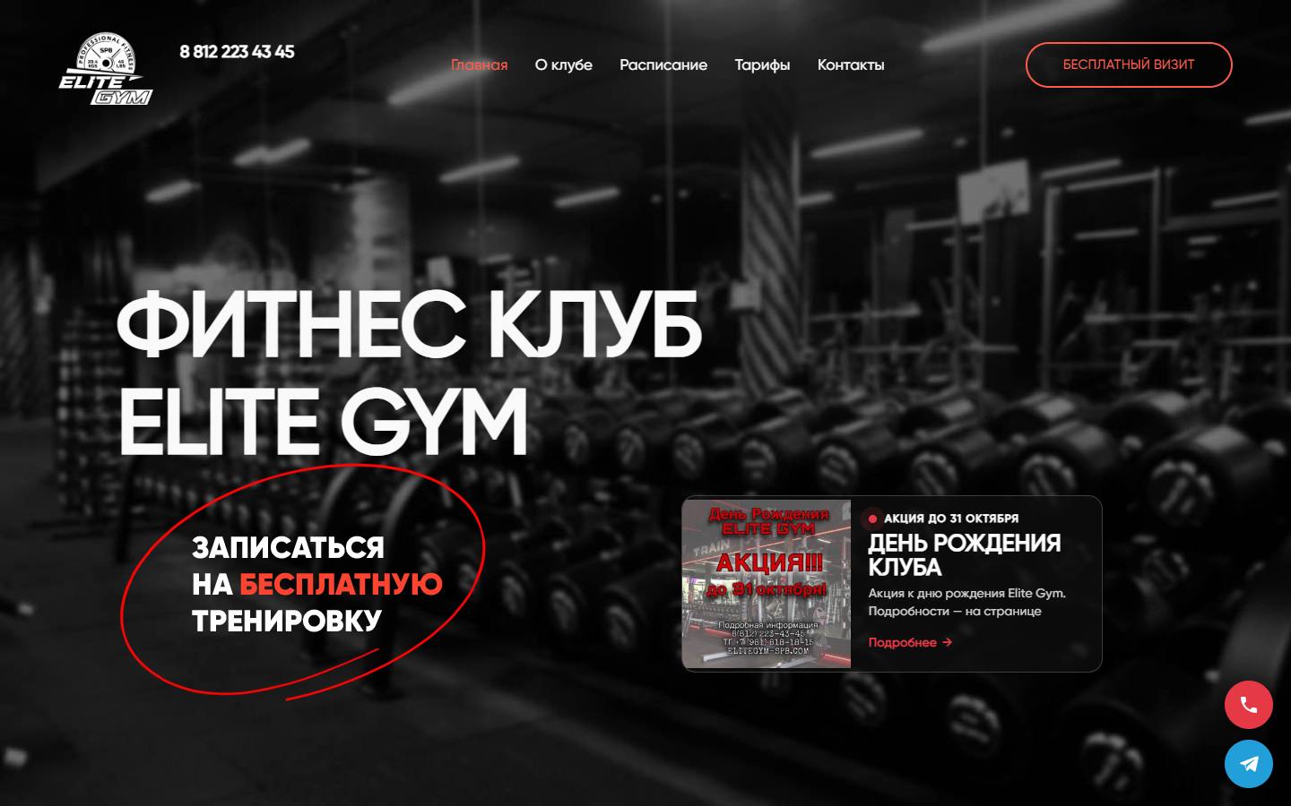 Главная страница сайта Элит жим (elitegym-spb.com)