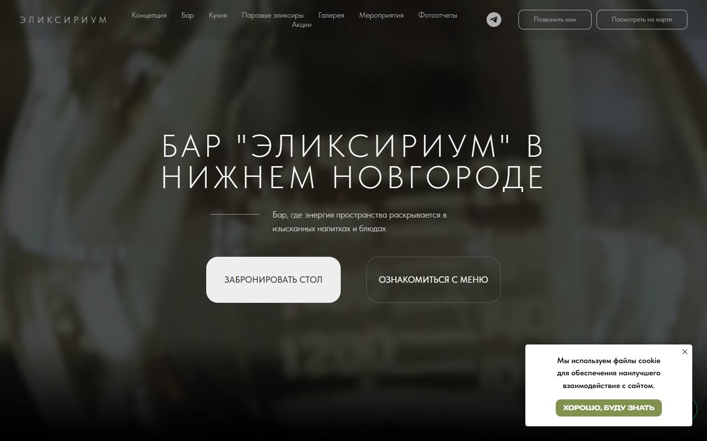 Главная страница сайта Эликсириум (elxrm.com)