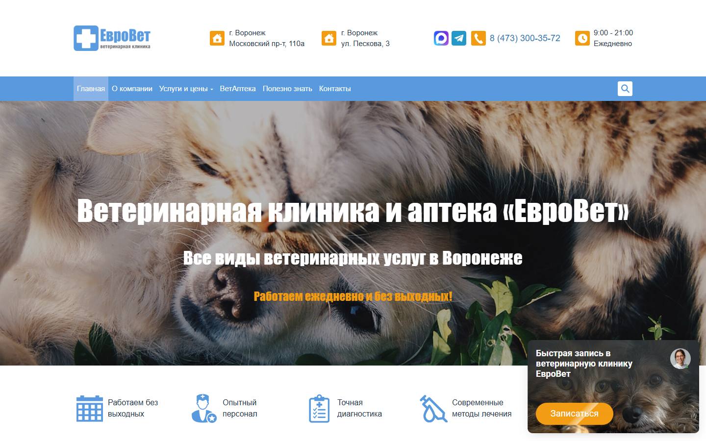 Главная страница сайта ЕвроВет (evrovet36.ru)
