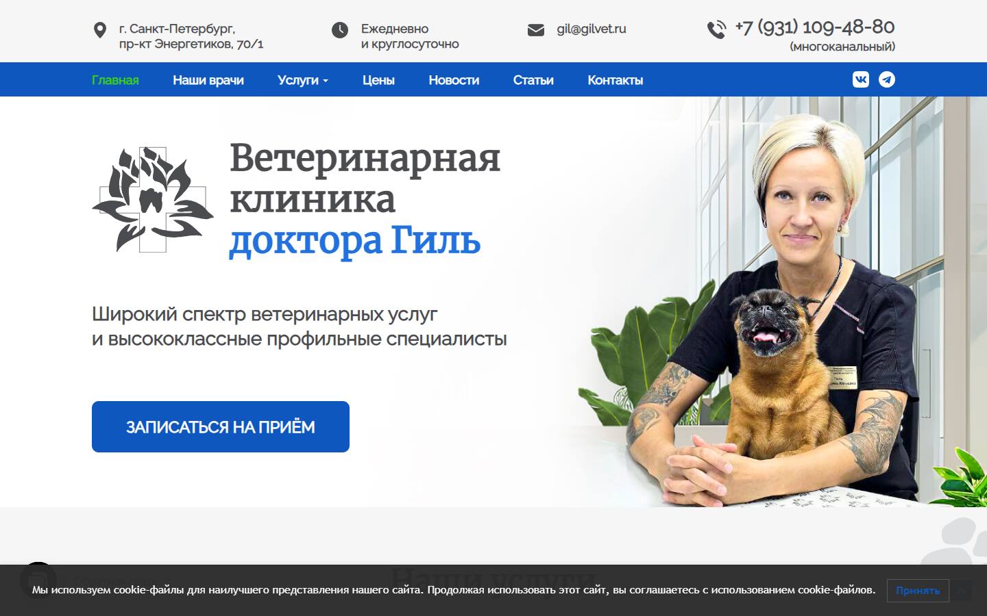 Главная страница сайта Гилвет (gilvet.ru)