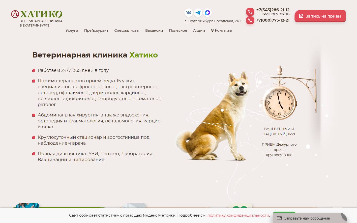 Главная страница сайта Хатико (hatiko.pro)