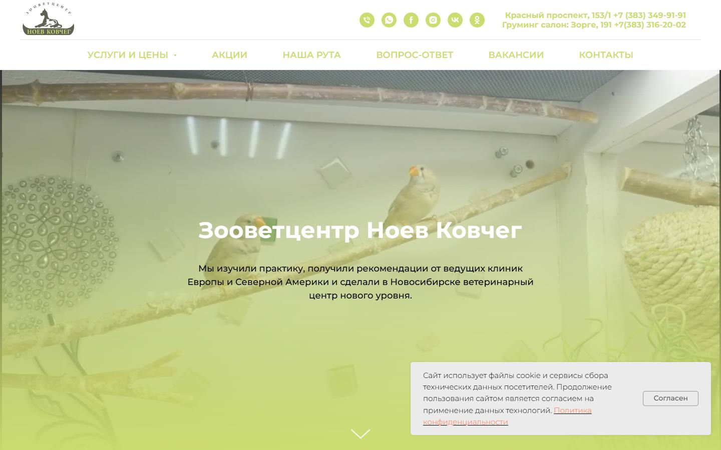 Главная страница сайта Ноев ковчег (kovcheg-nsk.ru)