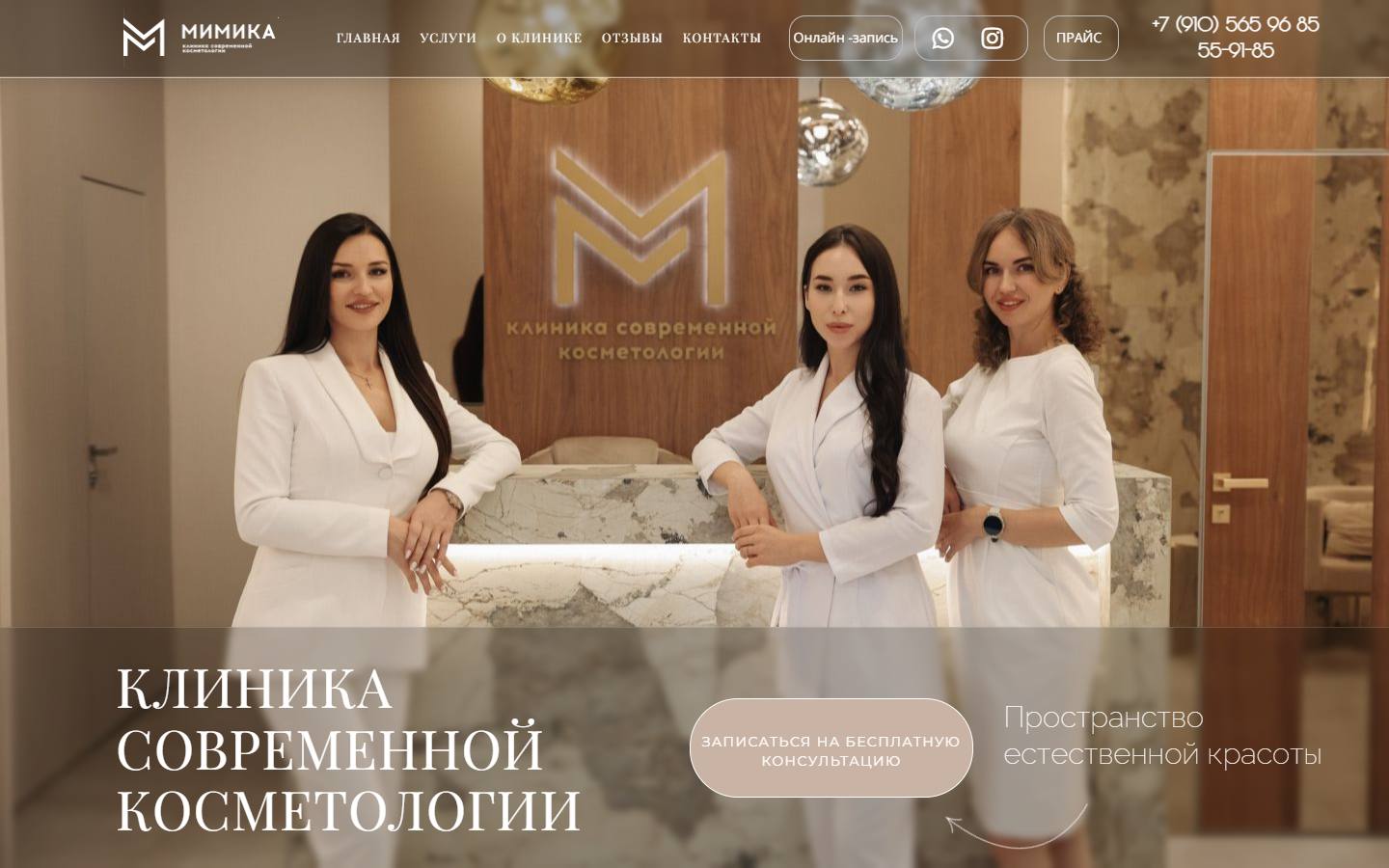 Главная страница сайта Мимика (mimika62.ru)