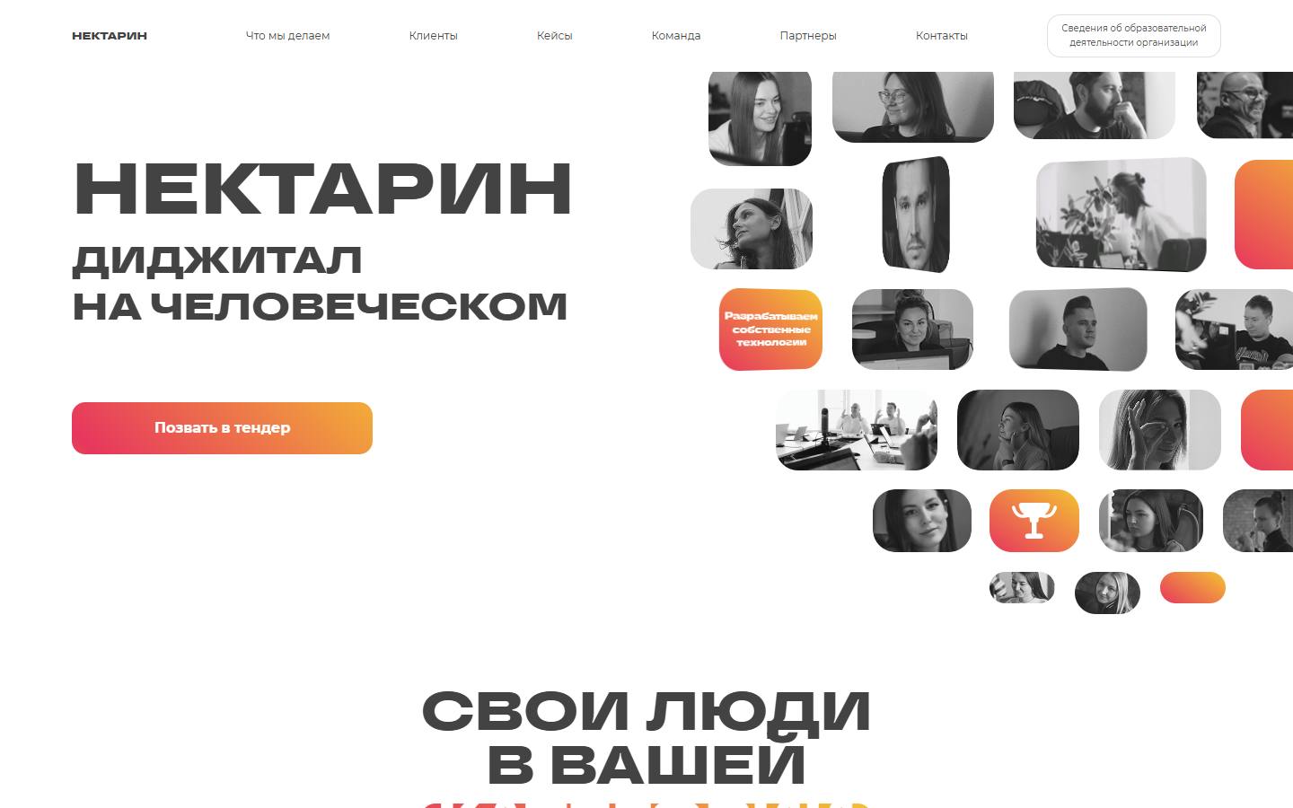 Главная страница сайта Нектарин (nectarin.ru)
