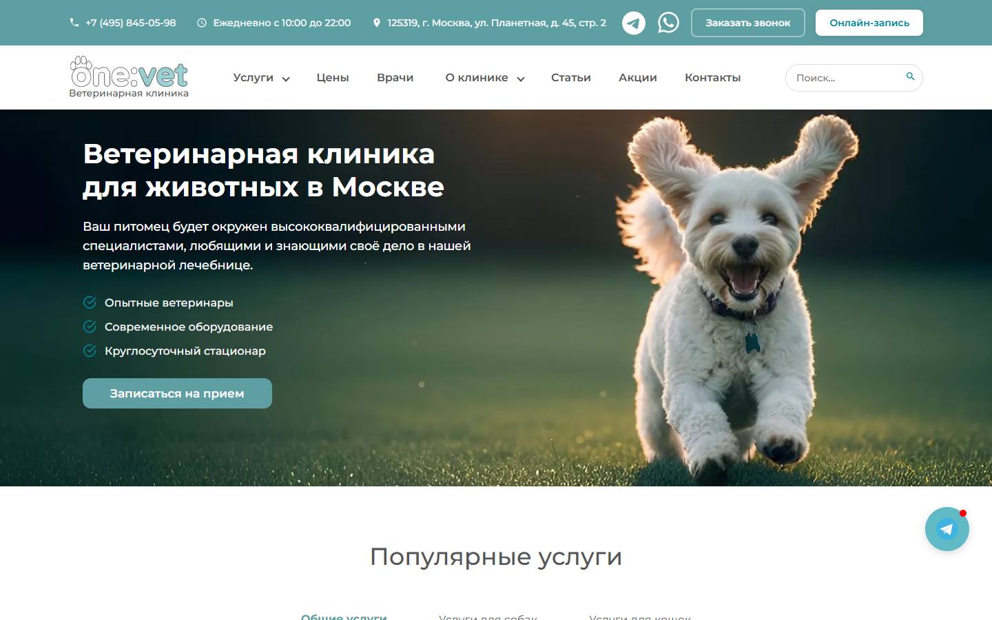 Главная страница сайта one:vet (onevet.ru)