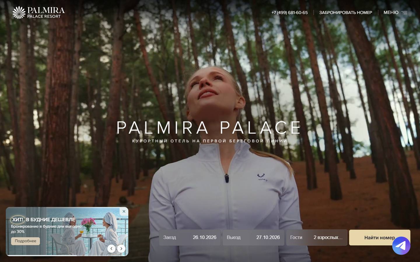 Главная страница сайта Palmira Palace (palmira-palace.com)
