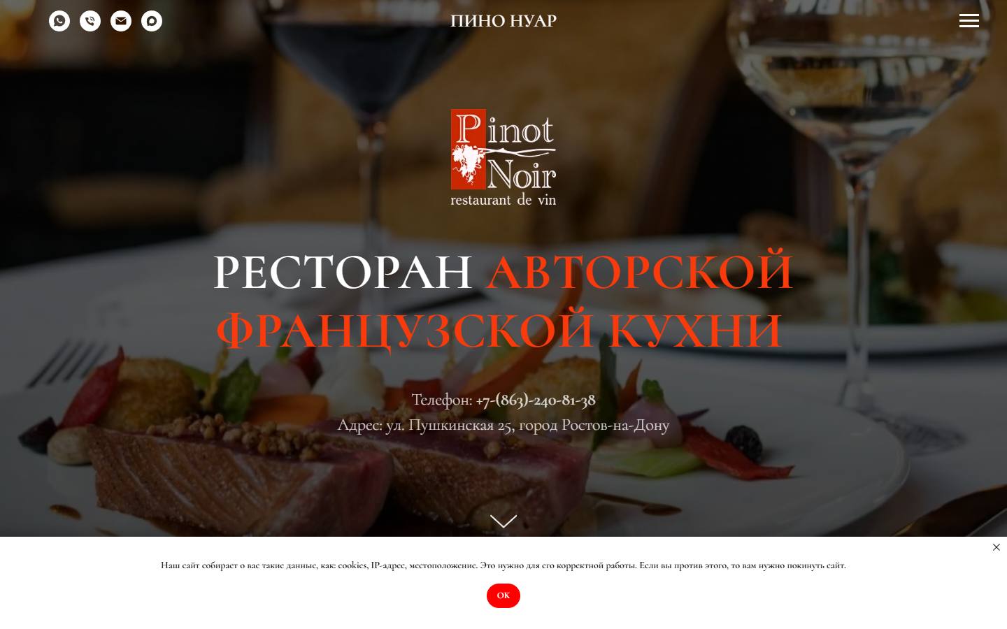 Главная страница сайта Pinot Noir (pinot-noir.ru)
