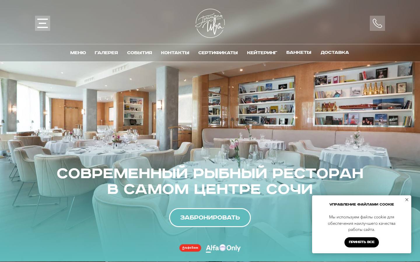 Главная страница сайта Плакучая ива (plakuchaya.ru)