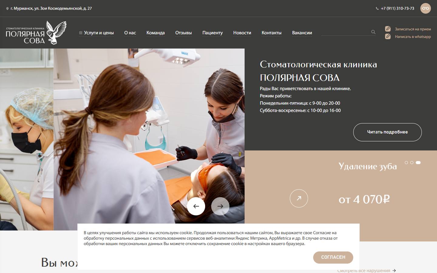 Главная страница сайта Полярная Сова (polyarnaya-sova.ru)