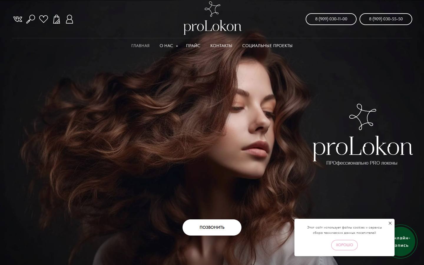 Главная страница сайта ProLokon (prolokon.ru)