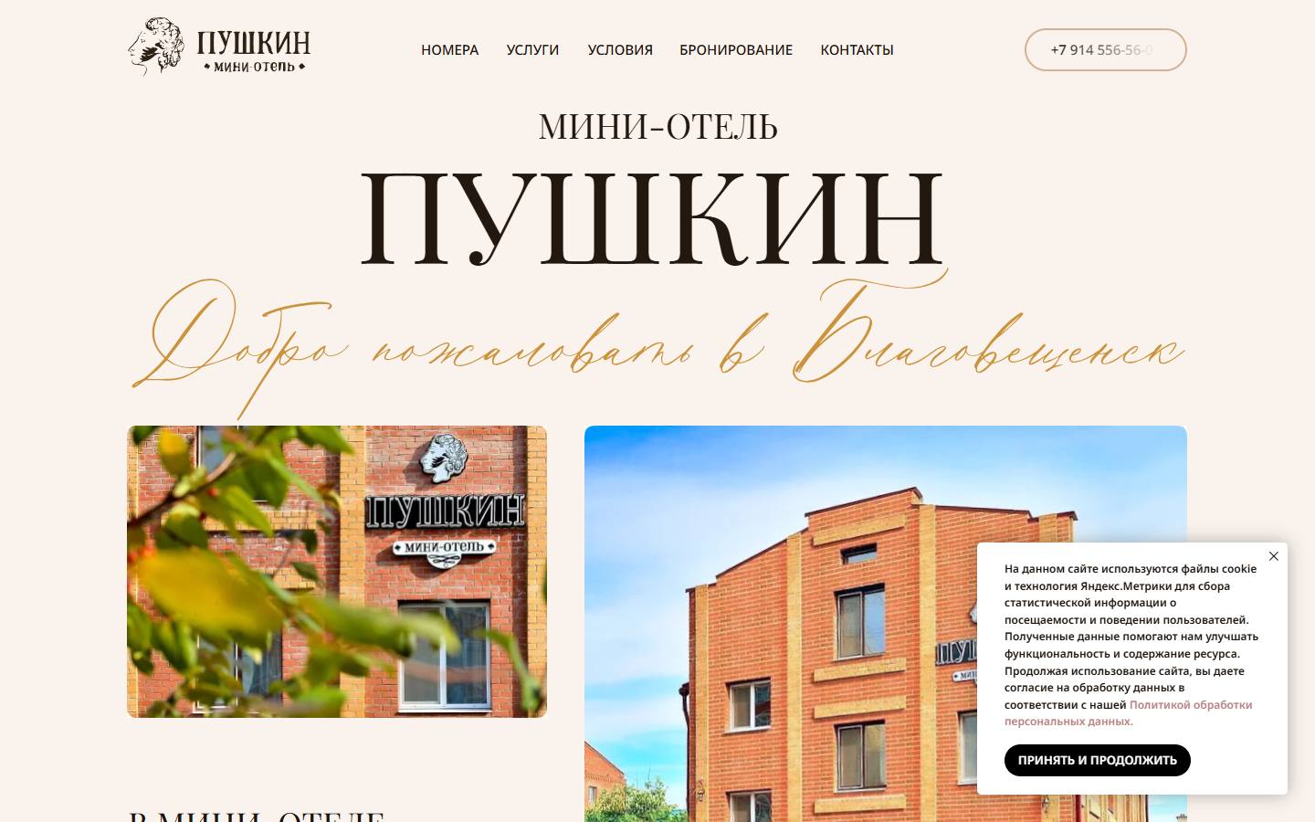 Главная страница сайта Пушкин (pushkinhotel.su)