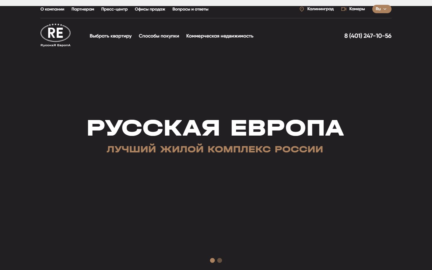 Главная страница сайта Русская Европа (r-eu.ru)