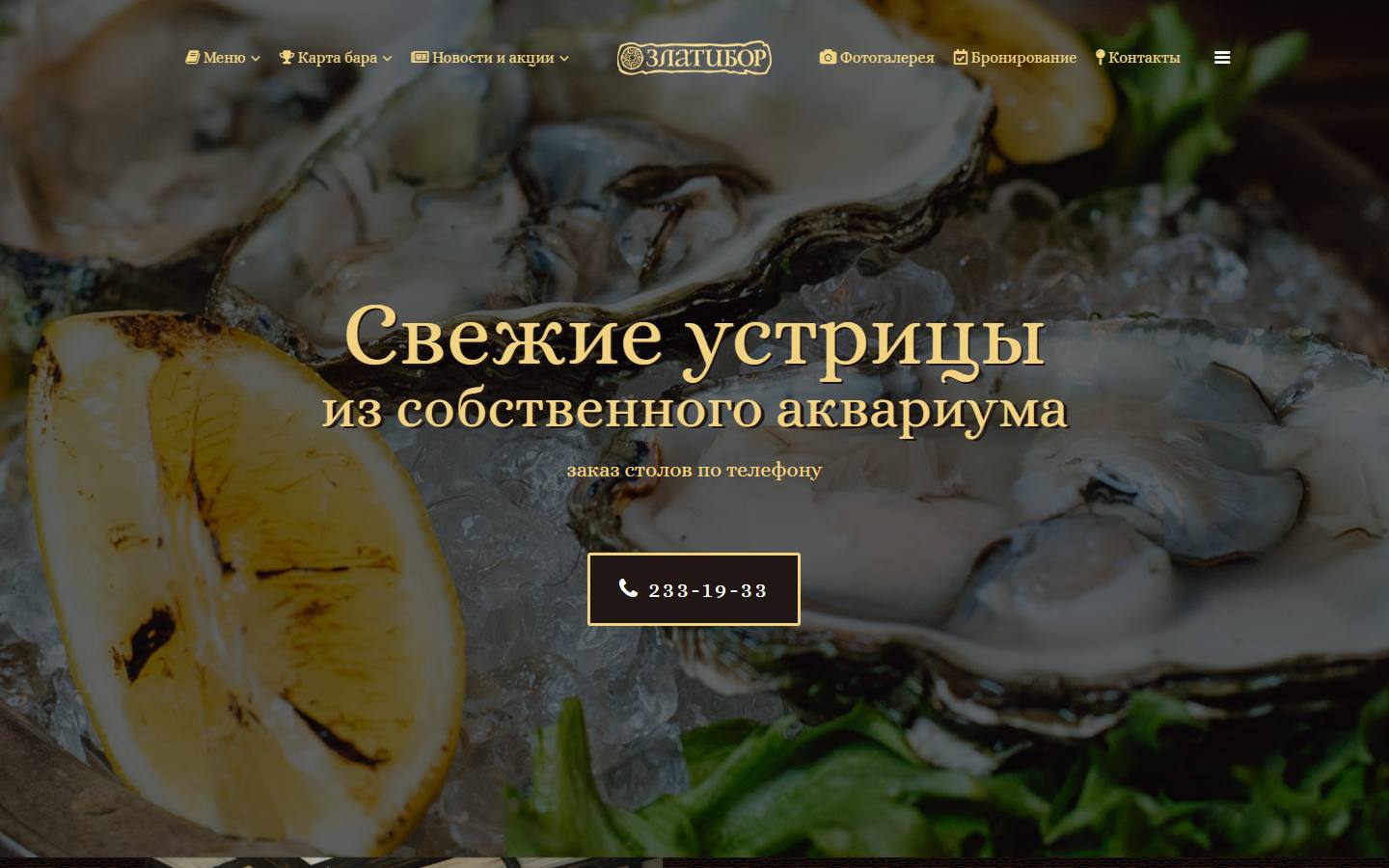 Главная страница сайта Златибор (restzlatibor.ru)
