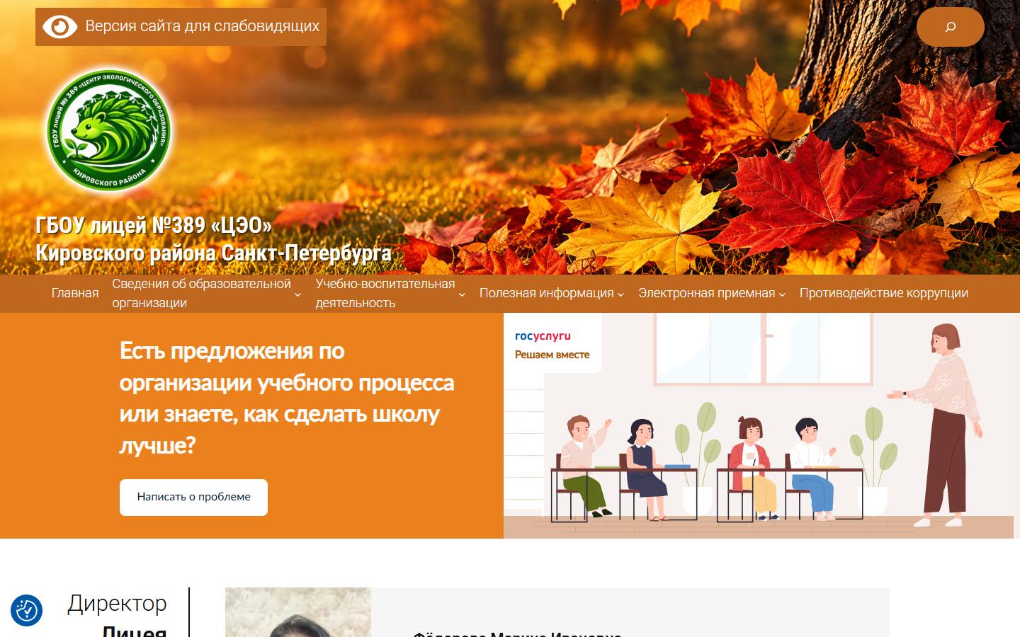 Главная страница сайта Лицей № 389 «ЦЭО» (school389spb.ru)