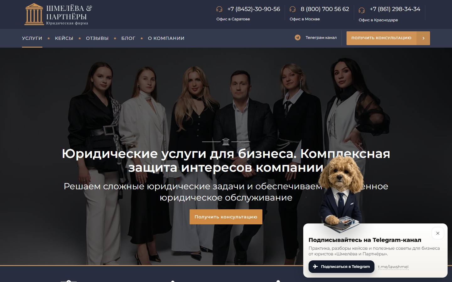 Главная страница сайта Шмелёва и партнёры (shmeleva-partners.ru)