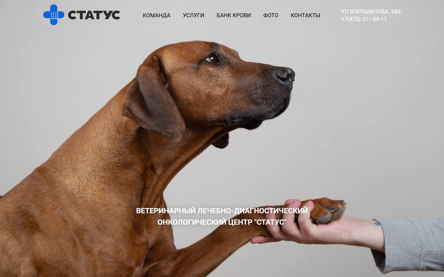 Главная страница сайта Статус (statusvet.ru)