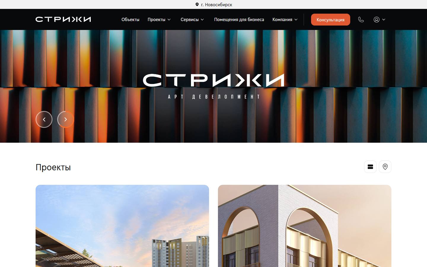 Главная страница сайта Стрижи (strizhi.ru)