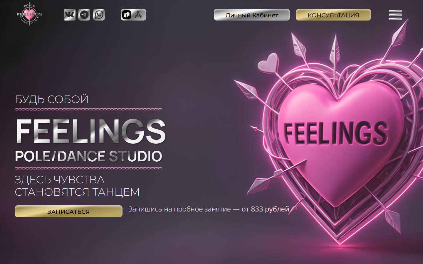 Главная страница сайта Feelings Pole Studio (studiofeelings.ru)