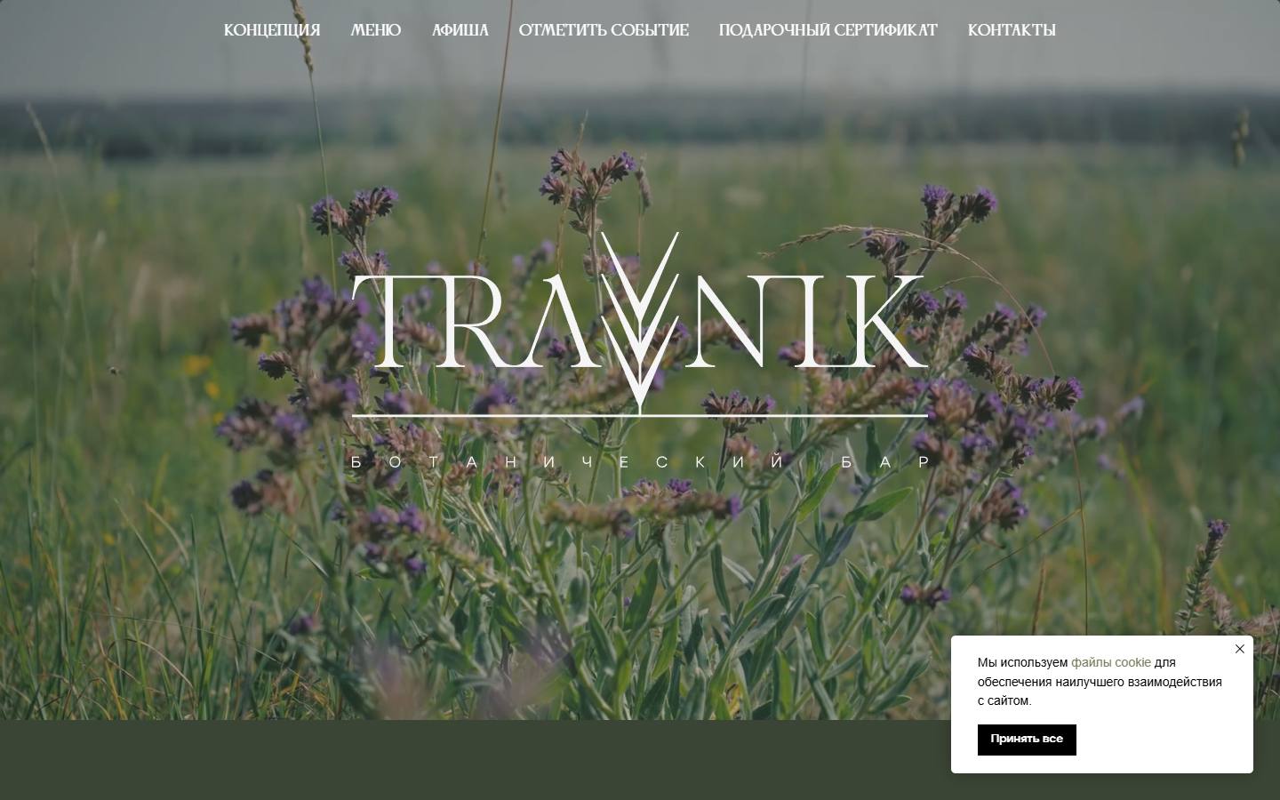 Главная страница сайта Травник (travniknn.ru)