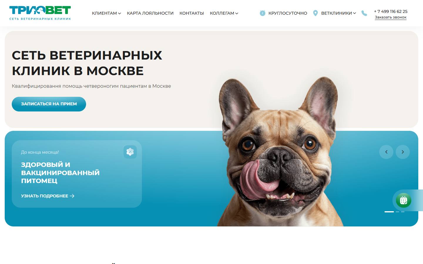 Главная страница сайта Триовет (triovetclinic.ru)