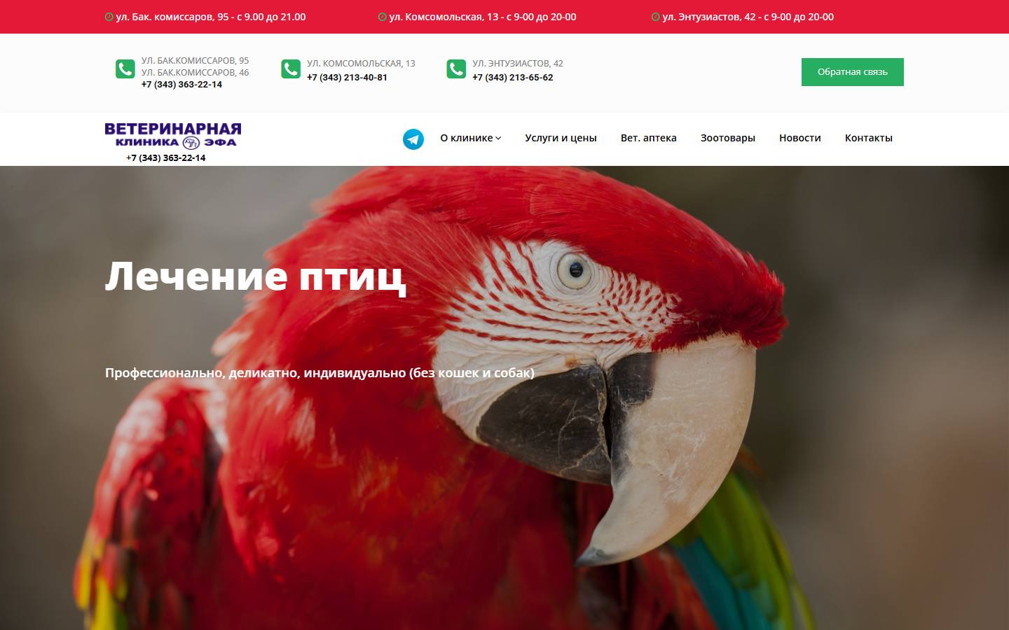 Главная страница сайта Эфа (vet-efa.ru)