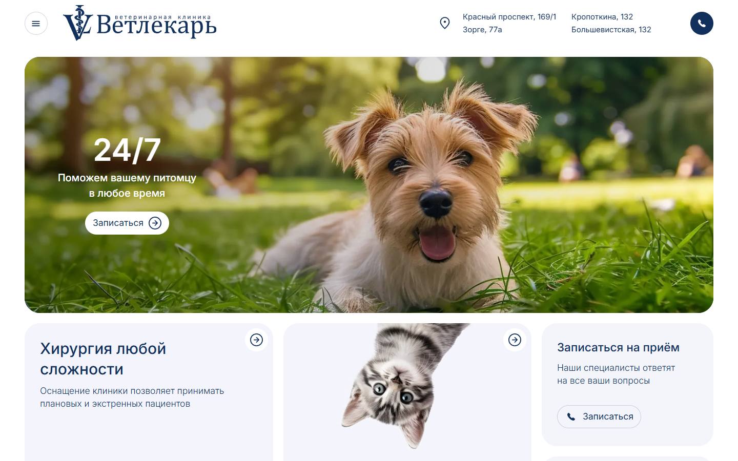Главная страница сайта Ветлекарь (vet-lekar.ru)