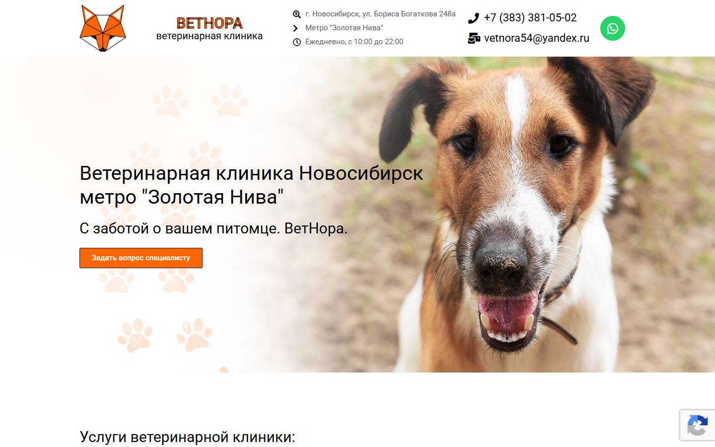 Главная страница сайта Ветнора (vet-nora.ru)