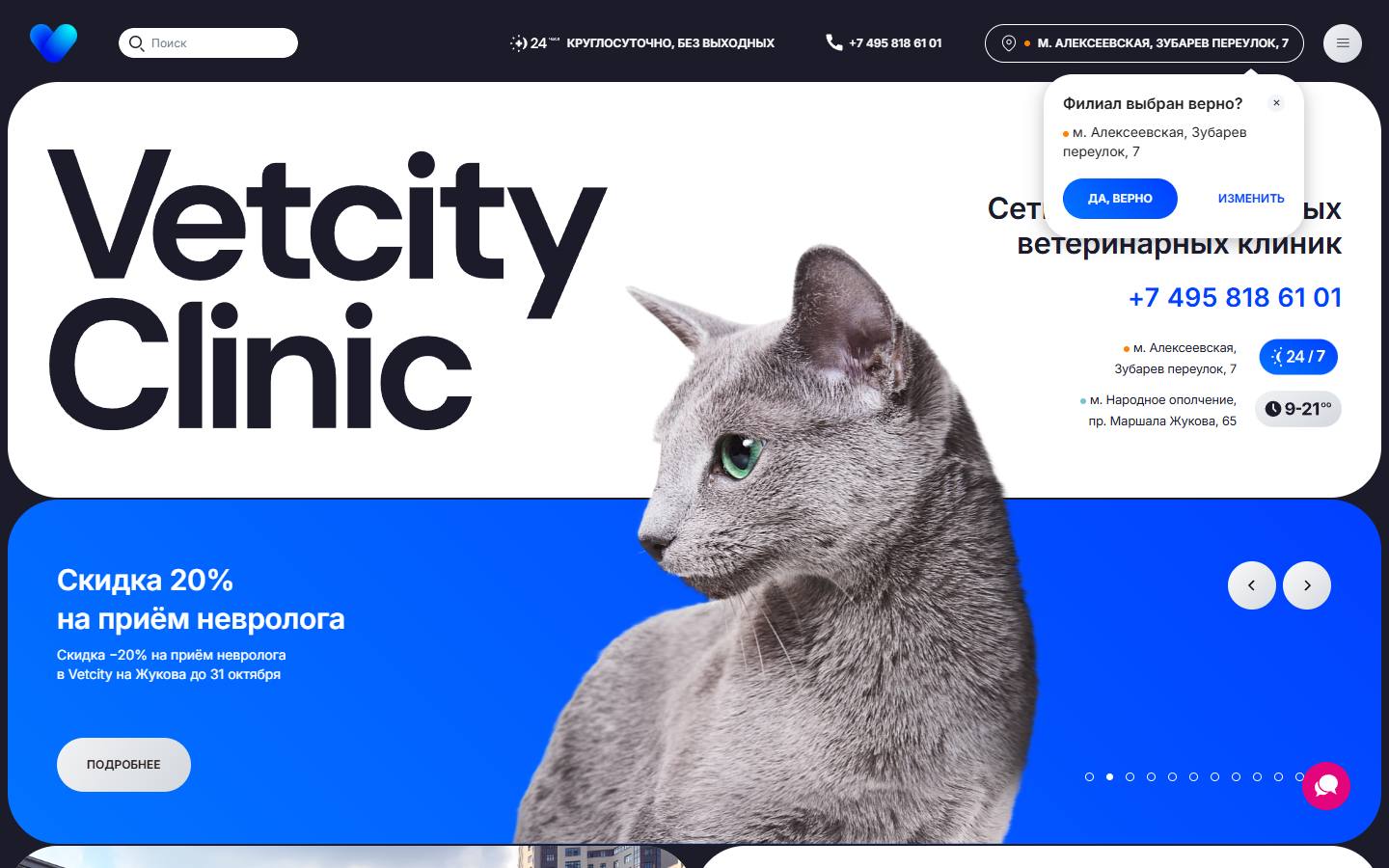 Главная страница сайта Vetcity Clinic (vet.city)